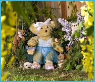 Melody Bear in the forest