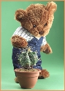 Photo of Milligan Bear as he explores the five senses