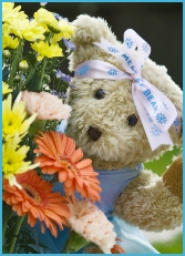 Photo of Melody Bear looking out from some flowers