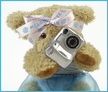 Melody Bear taking a photograph